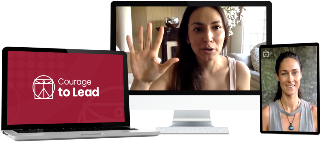 Courage to Lead (for women)